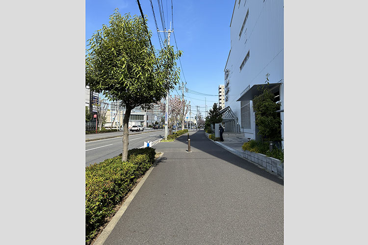 突き当りの広い道に出たら右折